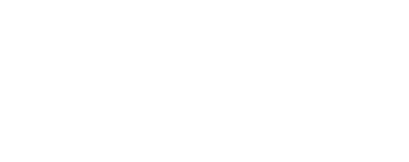DevTech Partners
